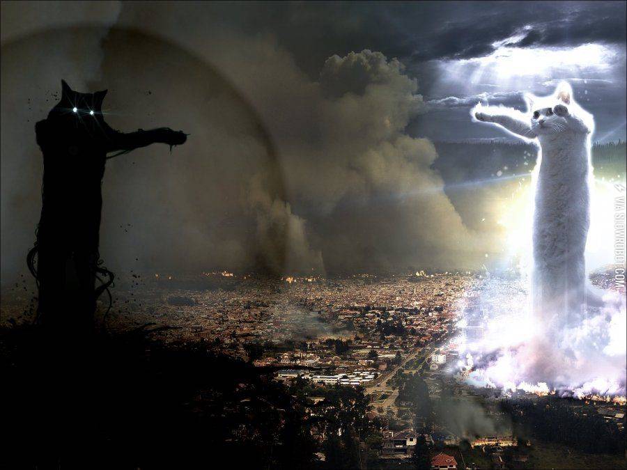 Ceiling+Cat+vs.+Basement+Cat.