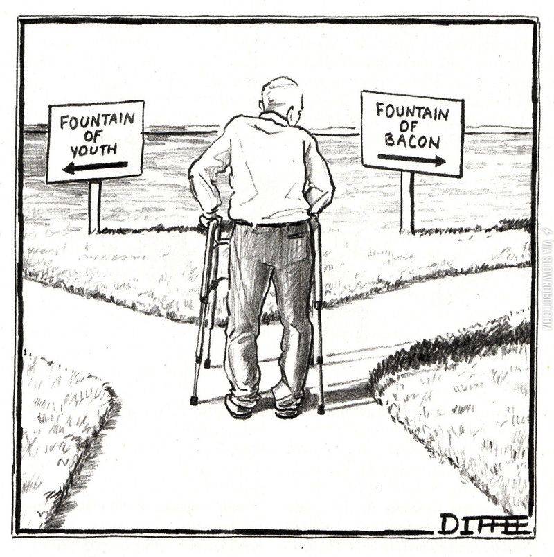 Fountain+of+bacon%3F+Yes+please.