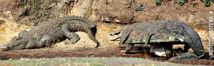 When+you+see+it%26%238230%3B