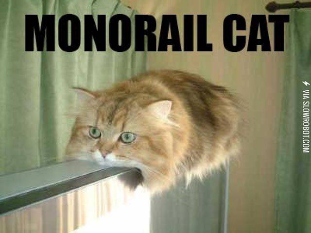 Monorail+cat.