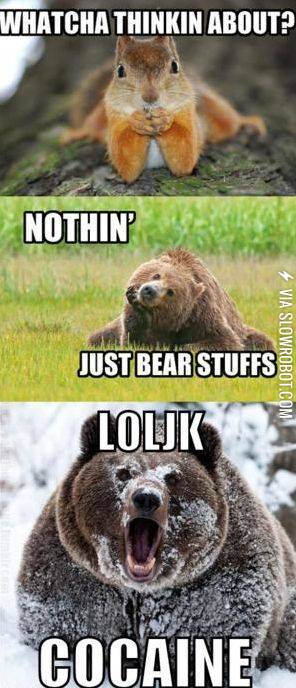 Whatcha+thinkin+about%3F