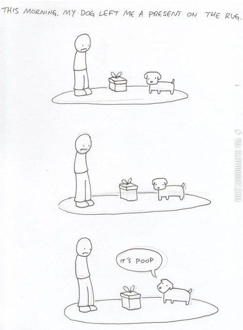 My dog left me a present.