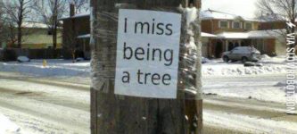 I+miss+being+a+tree.