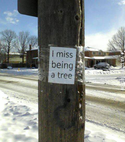 I+miss+being+a+tree.