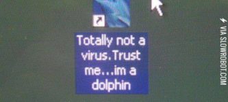 Trust+me%26%238230%3B+I%26%238217%3Bm+a+dolphin.