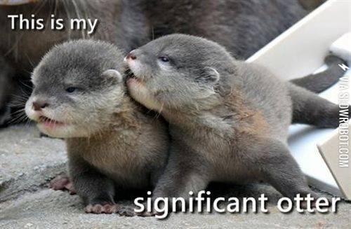 Significant+otter.