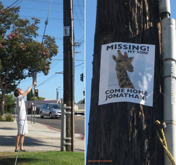 Missing+giraffe.