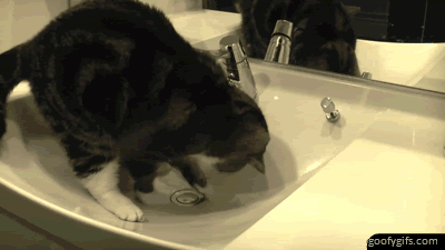 Must+return+to+Ministry+of+Magic%21%21%21