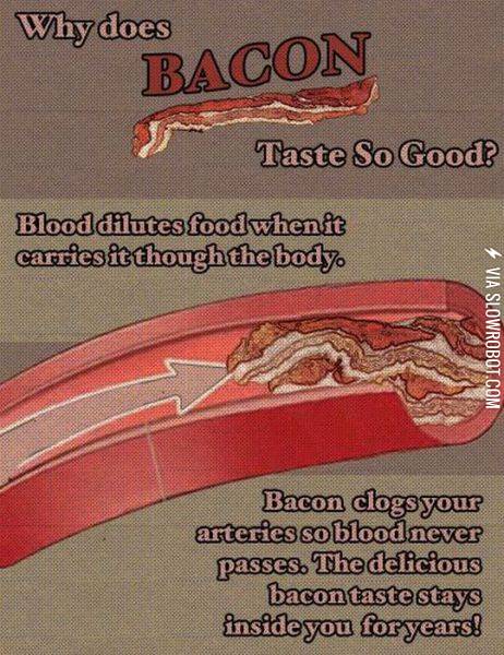 Why+does+bacon+taste+so+good%3F