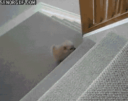 Dang+force%26%238230%3B