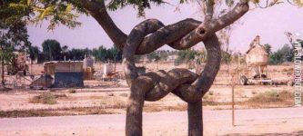 Tree+knot.