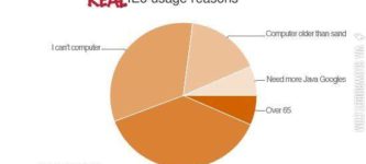 Real+IE6+usage+reasons.