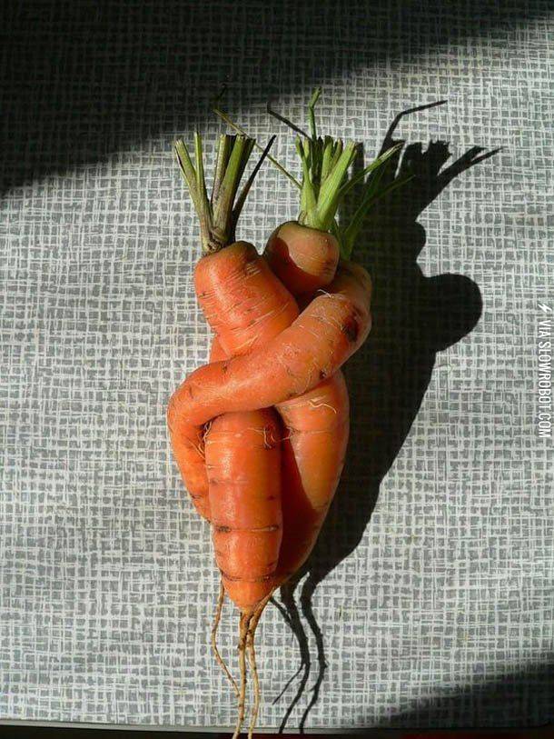 Carrot+love.