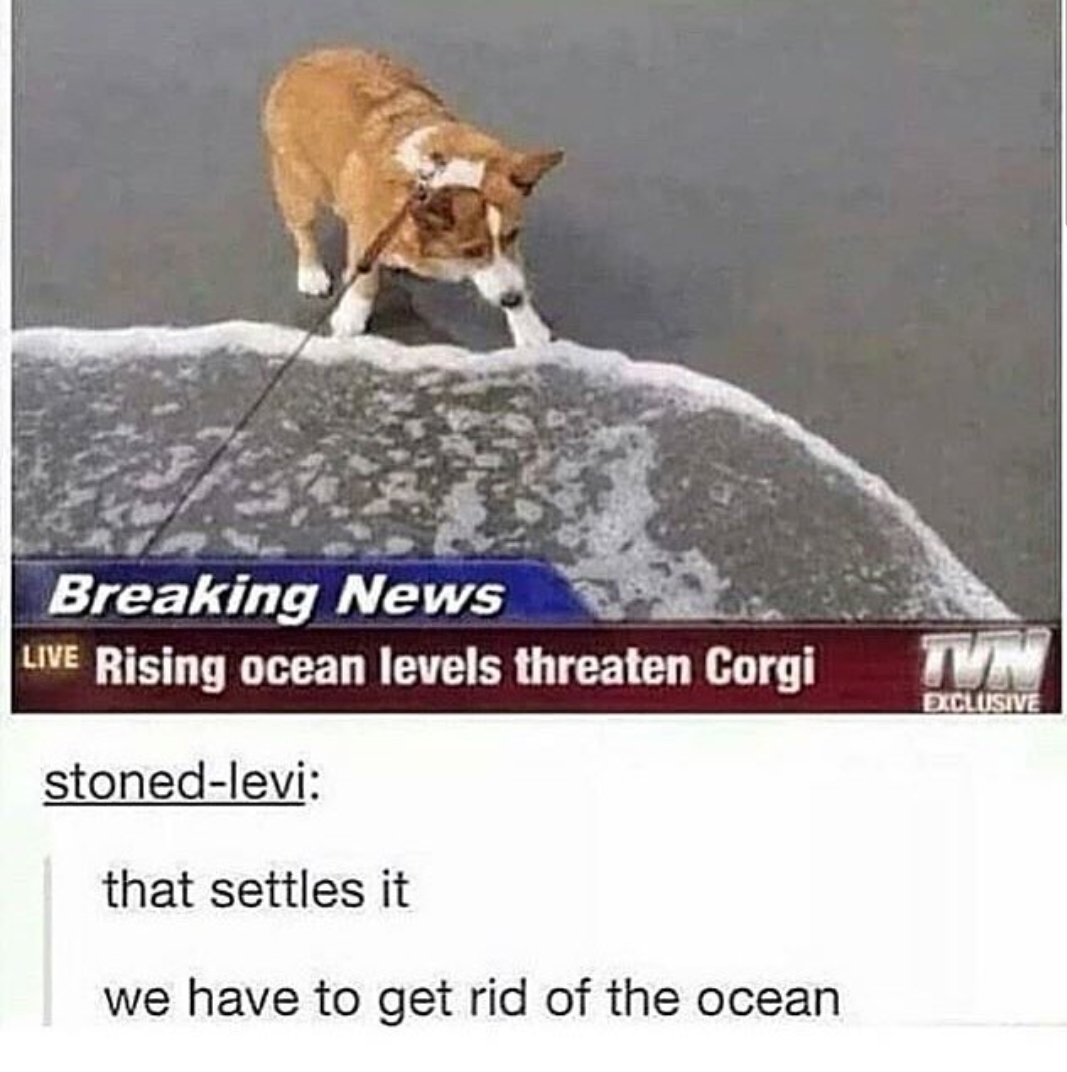 global+warming+has+detrimental+effects