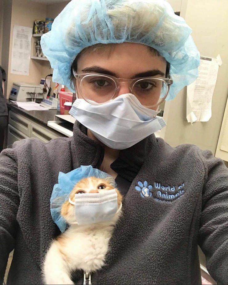 Dr.+Meowci