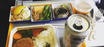 Economy+class+meal+on+Japanese+Airline
