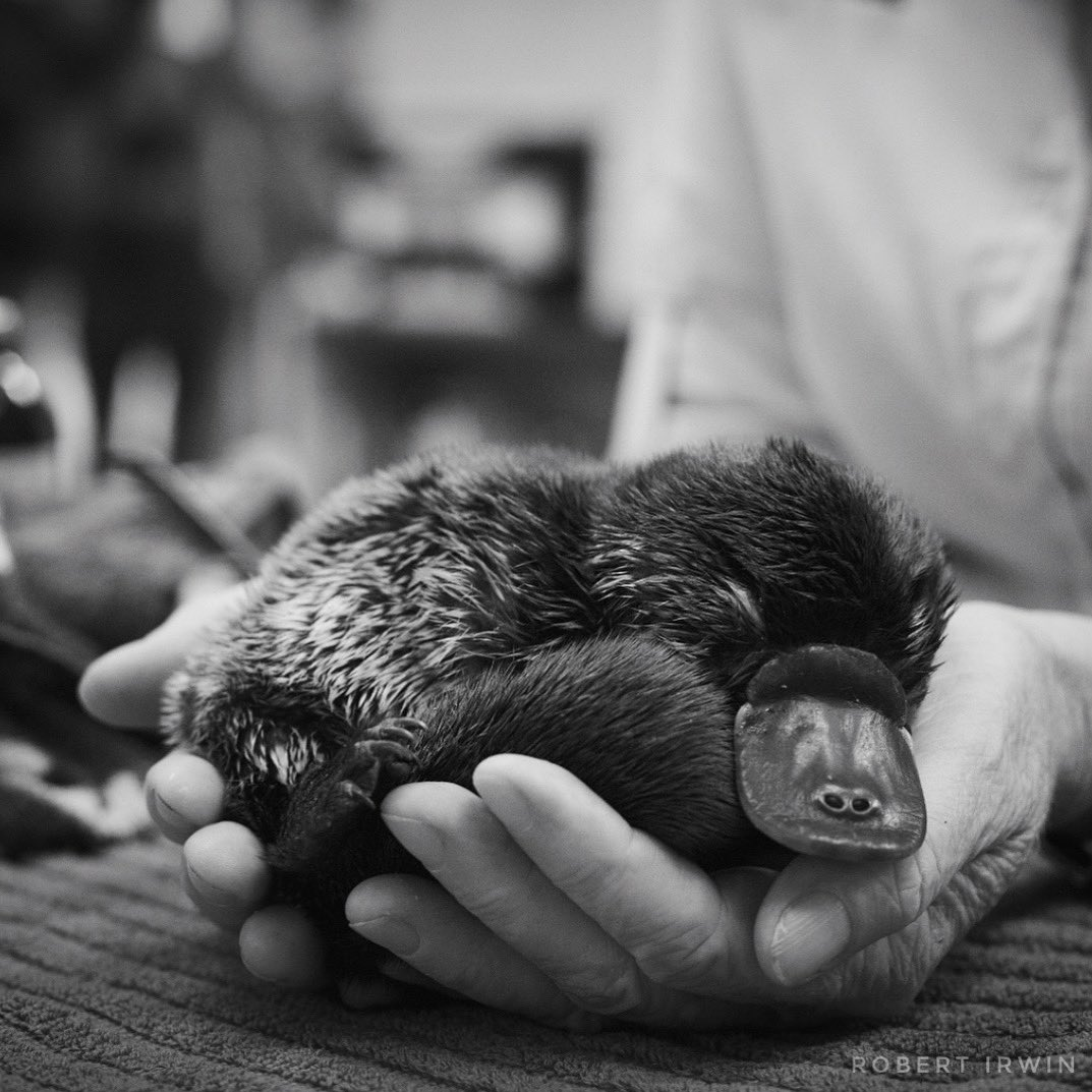 Proof+that+god+has+an+adorable+sense+of+humour.