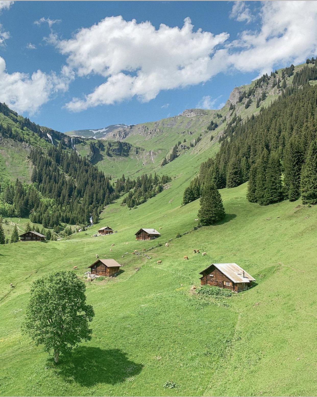 Grindelwald%2C+Switzerland