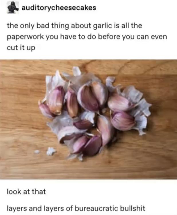 I+suppose+you%26%238217%3Bre+just+going+to+try+and+grow+on+my+counter+top%3F