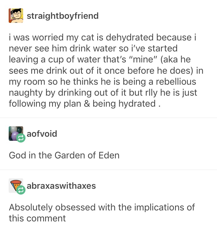 My+cats+are+very+hydrated..