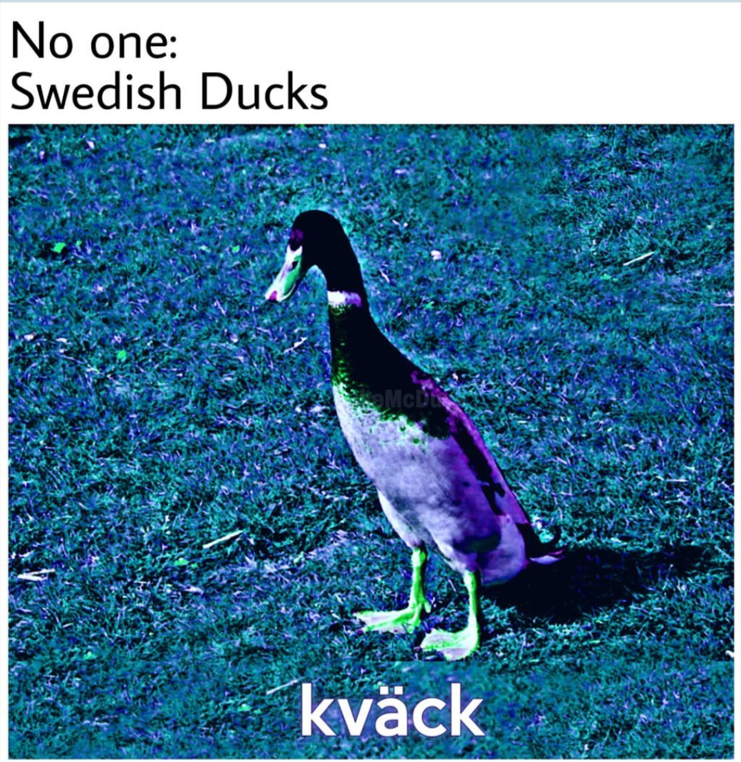 %2AKvack%2A