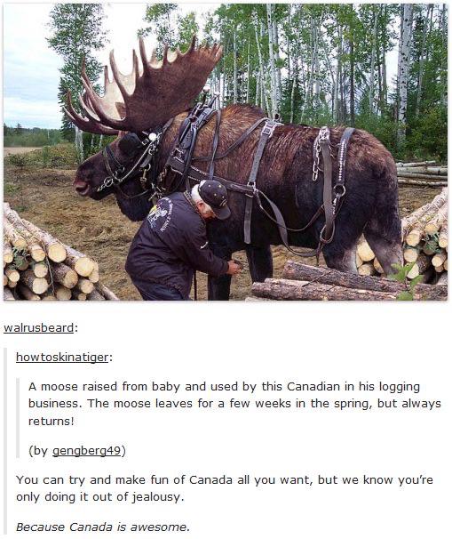 Canada+seems+scary.