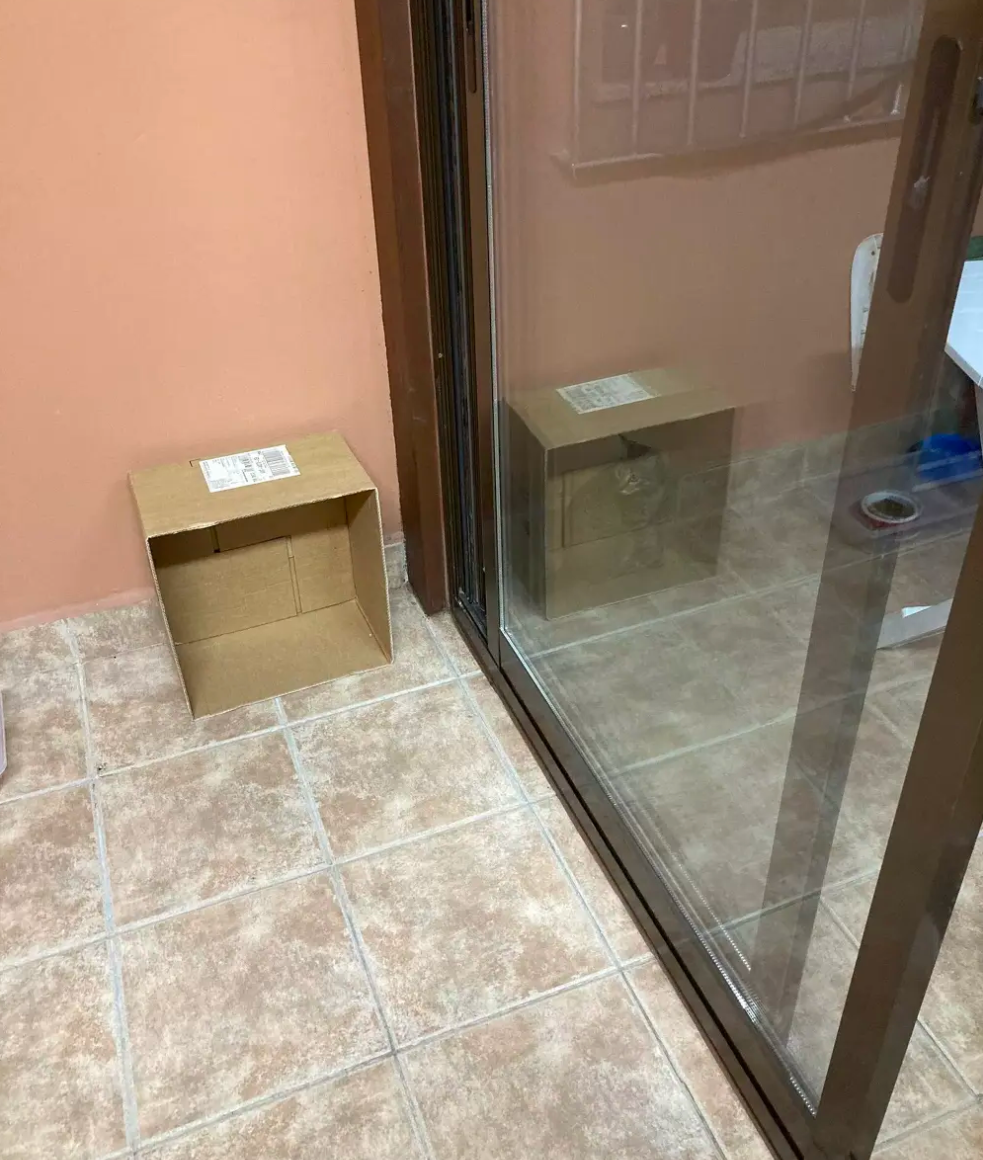 Schr%C3%B6dinger%26%238217%3Bs+gato