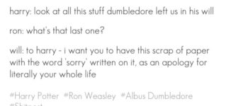 No+thanks+to+you%2C+Dumbledore