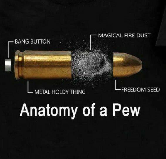 Anatomy+of+a+pew