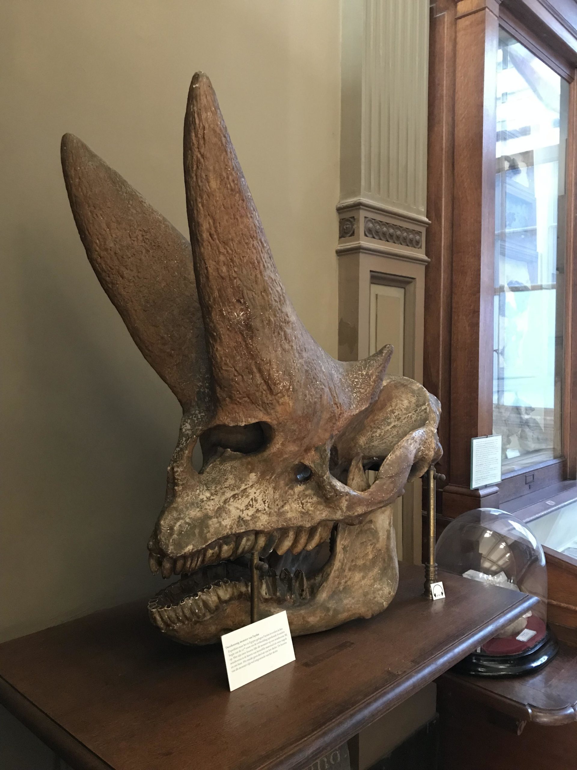 No+idea+what+it+is+but+I%26%238217%3Bm+glad+it%26%238217%3Bs+extinct