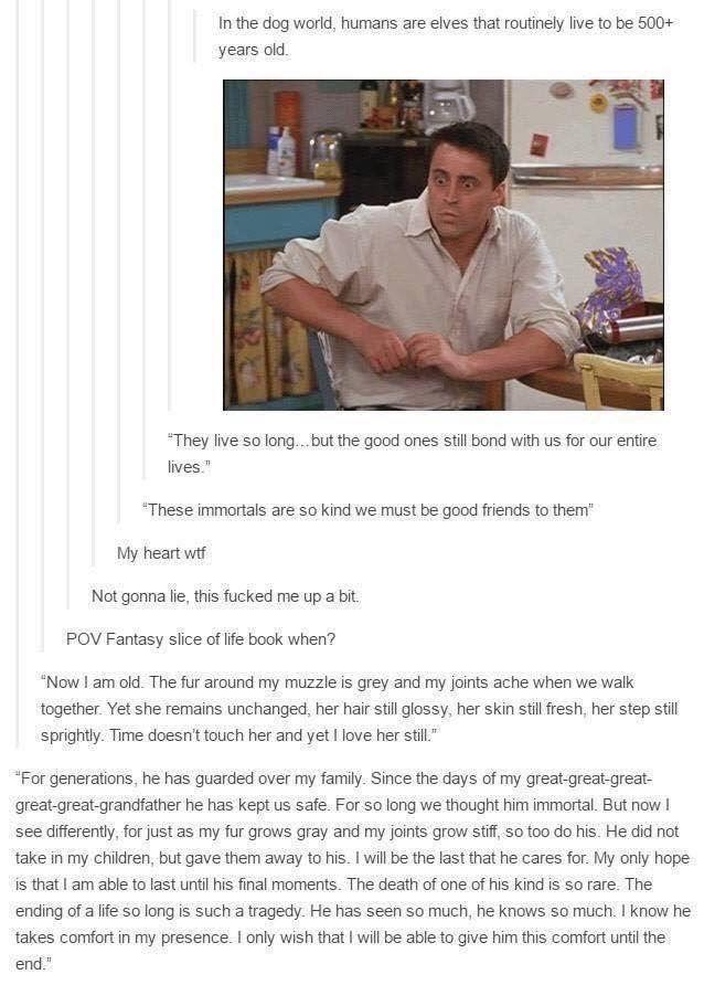 What+do+dogs+think+of+us%3F