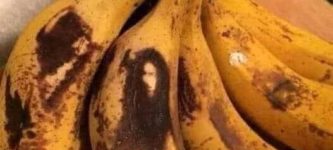 Bob+Marley+on+da+Banana.+Jah+banana+is+life.