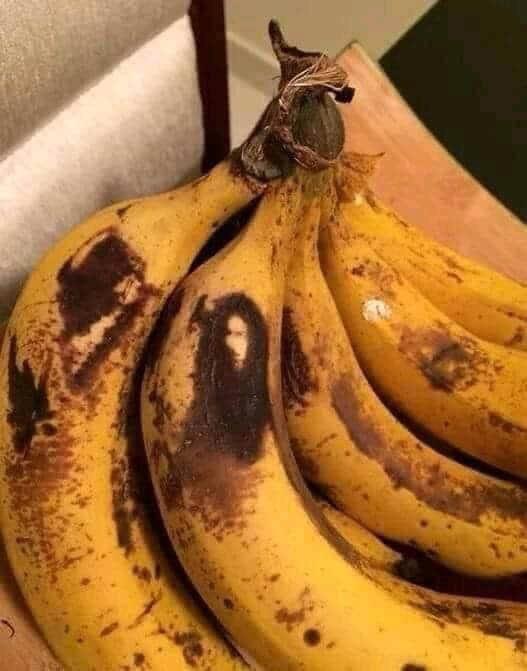 Bob+Marley+on+da+Banana.+Jah+banana+is+life.