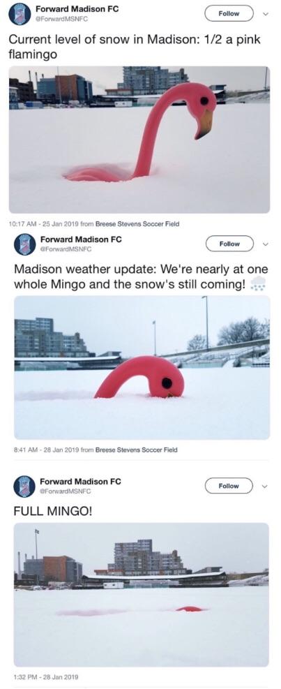 my+new+favorite+unit+of+measurement