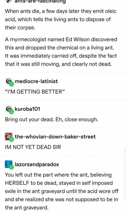 Guess+I%26%238217%3Bm+Dead%26%238230%3B