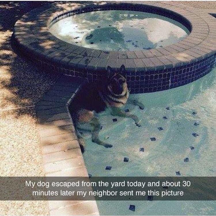 I+was+told+there+would+be+ladies+by+the+pool%26%238230%3B