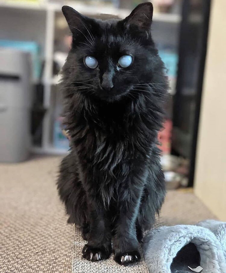 Keeper+of+the+souls.