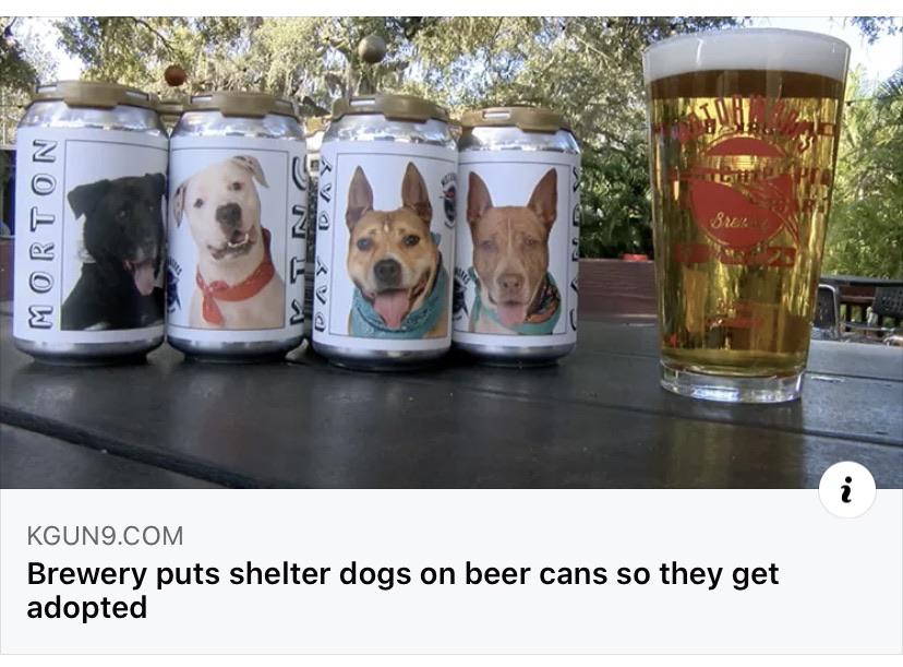 Tonight%2C+we+drink%21