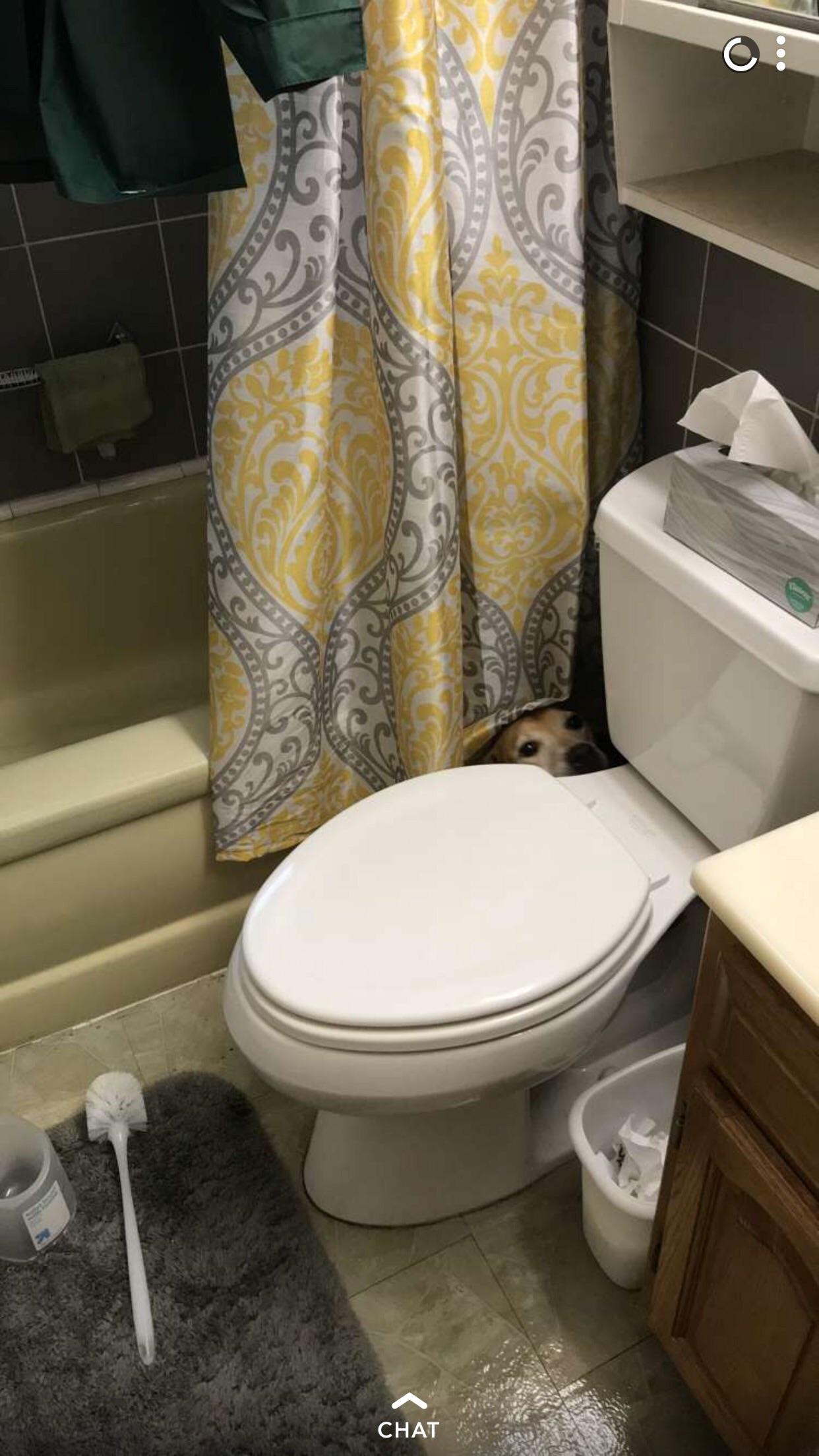 The+thunder+and+the+lightening+are+very+very+frightening.