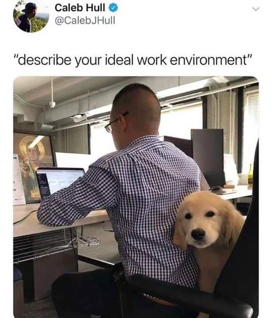 The+perfect+workplace+doesn%26%238217%3Bt+ex%26%238211%3B