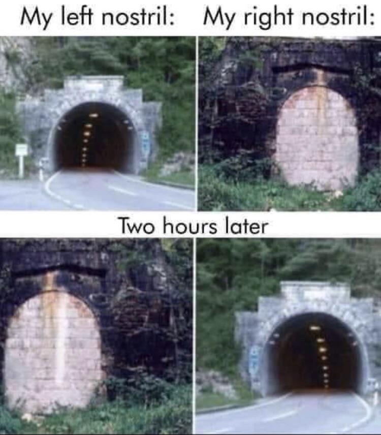 It+really+do+snort+like+that.