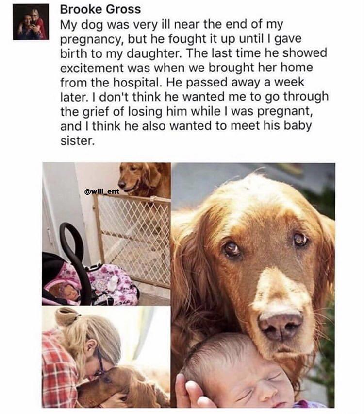 Say+goodbye+to+sister.