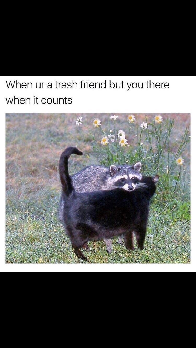 A+friend+is+a+friend.