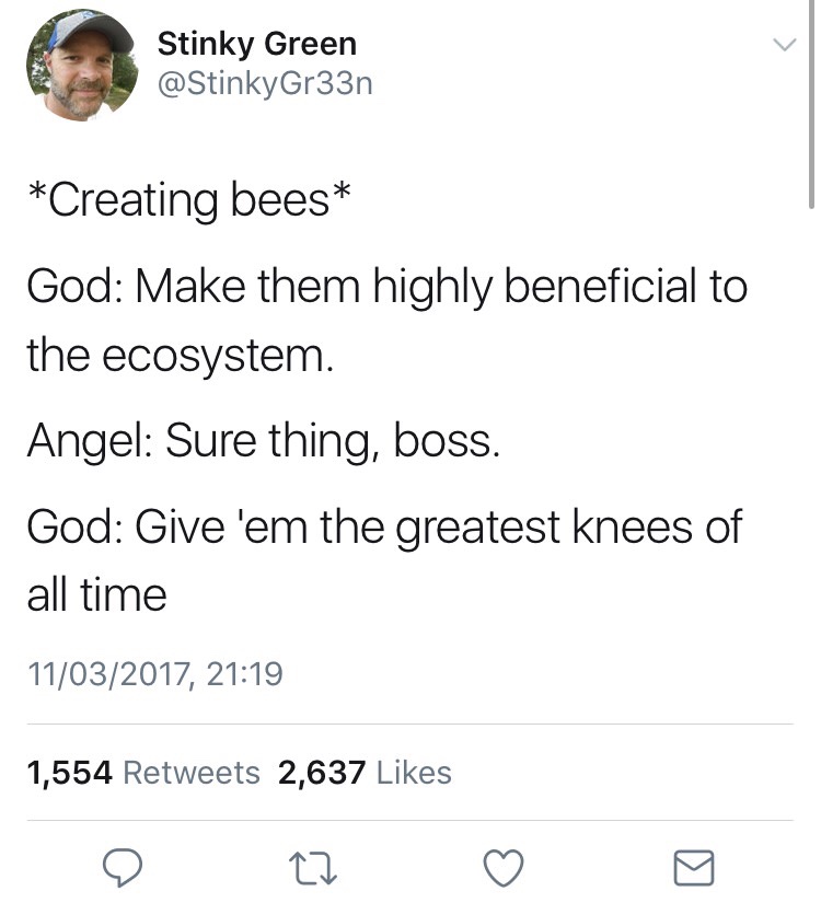 It%26%238217%3Bs+the+bees+knees