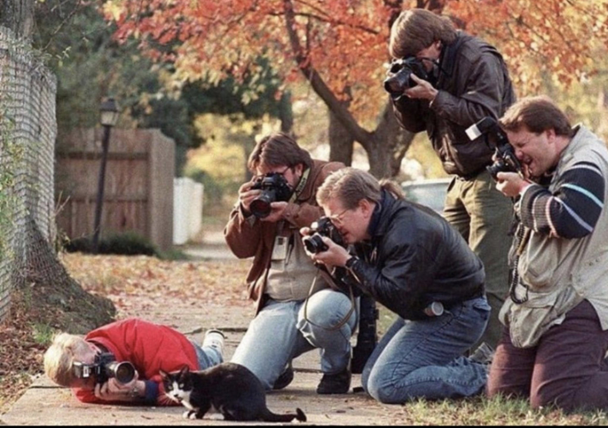 Paparazzi+taking+pictures+of+Bill+Clinton%26%238217%3Bs+cat%26%238230%3B