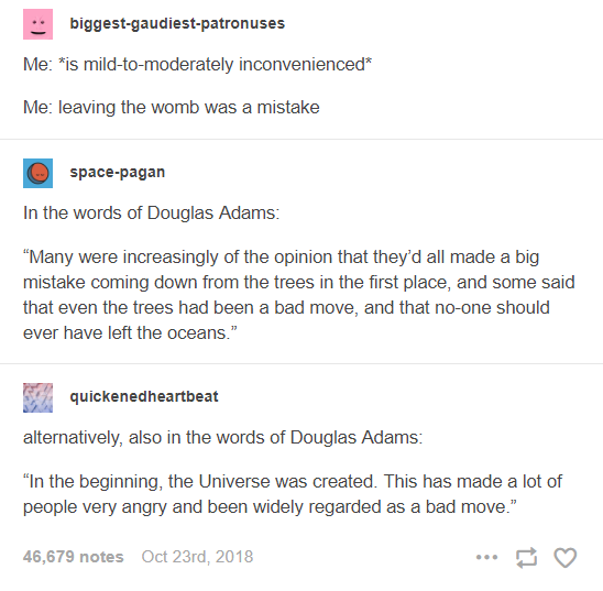 The+dolphins+tried+to+warn+us