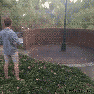 Frisbee+trick