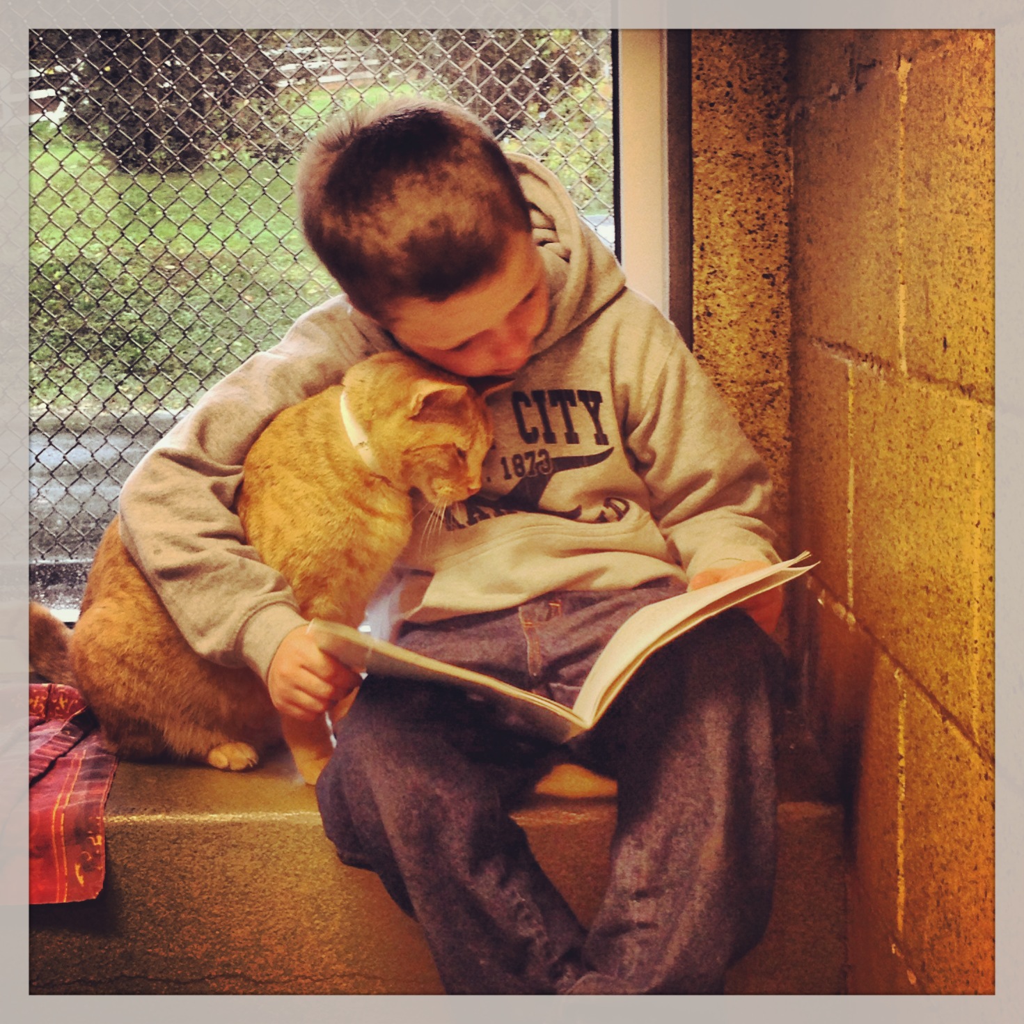 My+local+rescue+has+a+program+called+Book+Buddies+where+kids+read+to+sheltered+cats+to+sooth+them