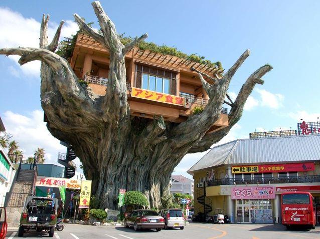 Tree+House+Restaurant+in+Okinawa%2C+Japan