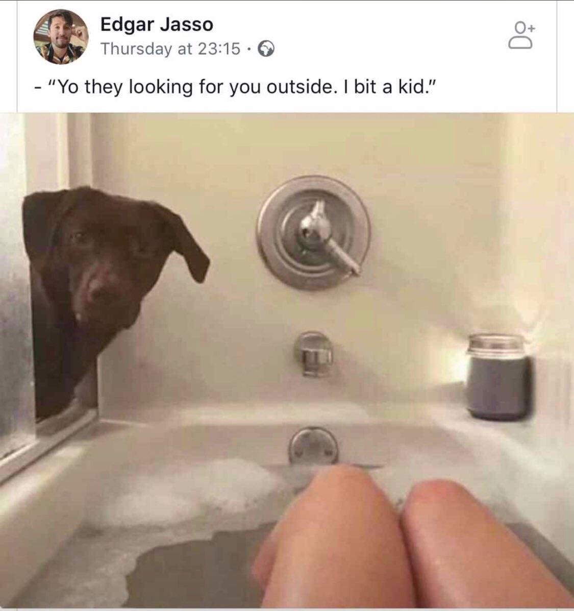 Doggo+needs+an+adult%26%238230%3B